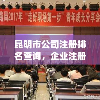 昆明市公司注册排名查询,企业注册优选指南全攻略