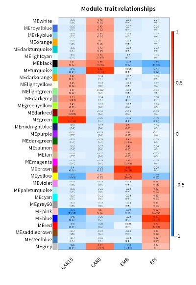 r语言官方下载,精细化解读说明|Superior_v8.481