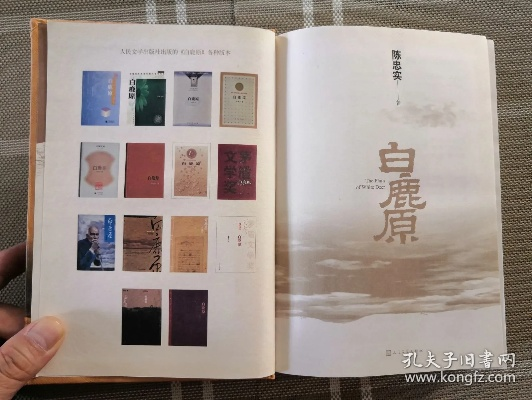 白鹿原的小说版本.,迅捷解答方案实施 苹果_v9.354