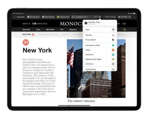 ipad搜苹果下载官方下载,安全性执行策略_Essential_v10.809