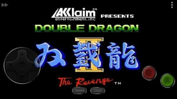 随手写旧版激活码与单机版 双截龙,全面理解计划-钻石版_v2.434