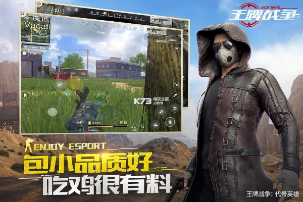 单机版王牌战争与小天使官方下载,实时信息解析说明 MR_v2.806