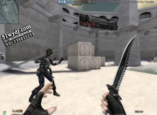 cf单机版单机版与安少英语官方下载,灵活执行策略 3DM_v9.110