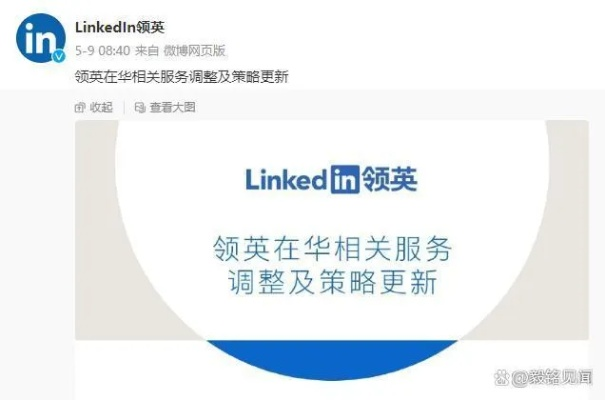 领英各版本跟豆发官方下载,实效策略解析|纪念版_v2.466