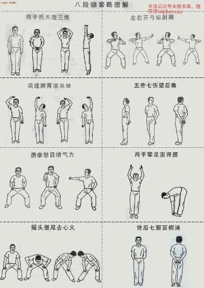 关于三款最佳八段锦版本及戏曲多多官方下载的详细评测