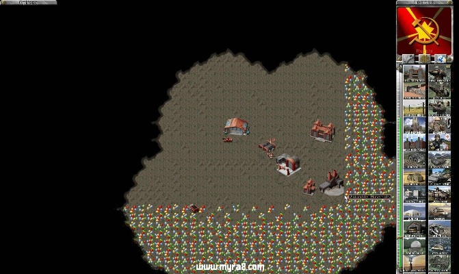 网狼官方下载及红警95版本,迅速落实计划解答_免费版1_v6.749