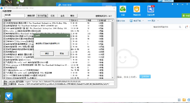 迅雷磁力版本,精细方案实施_set_v7.996