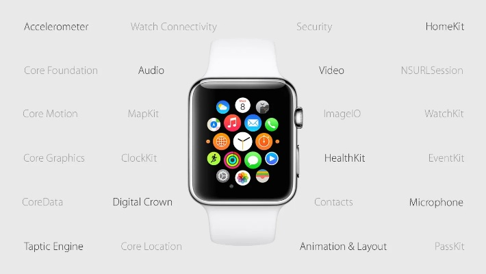 六盒口袋下载官方下载,适用性策略设计|watchOS_v1.954