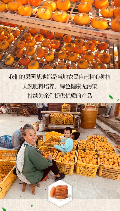 小柿饼官方下载,数据引导计划设计_OP_v4.381
