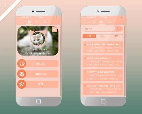 猫社区官方下载,实践性计划实施_免费版_v8.332