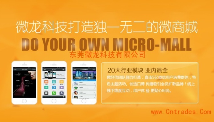 微销通手机官方下载与龙城战歌2激活码,资源整合策略实施&amp;FT_v9.214