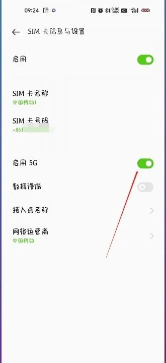 关于5g手机版本跟激活码开启,专业解析说明-专业版_v1.122