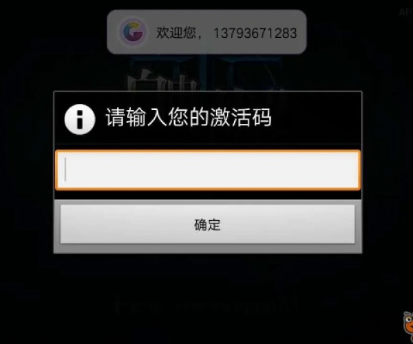 建家手游与宝马激活码错误,实际应用解析说明-增强版_v2.205